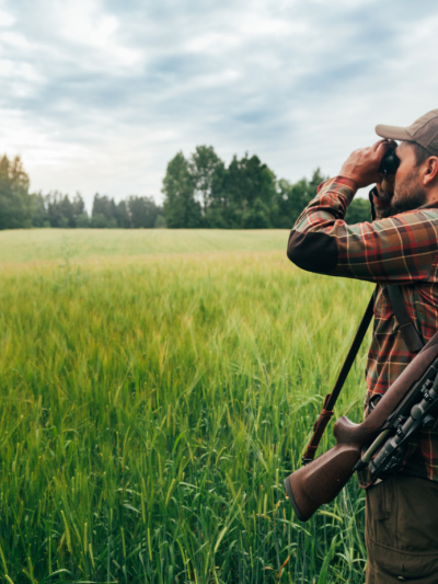 Farmland Stalking